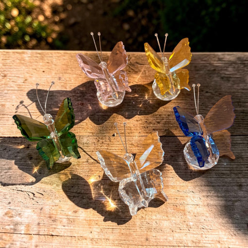 Gold Oval Stainless Steel Set with Crystal Butterfly