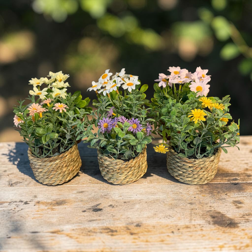 Square Wood Tabletop Display Set with Affirmation Deck and Faux Greenery