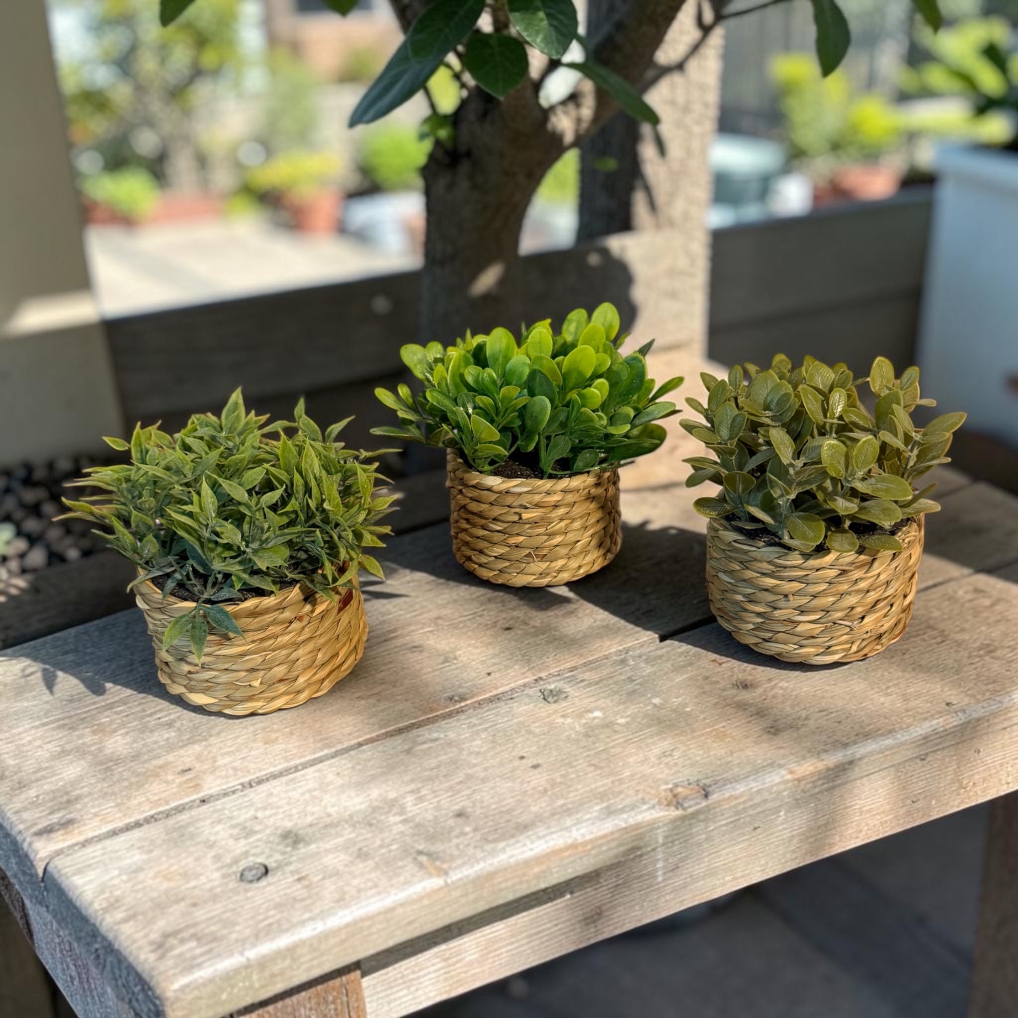 Square Wood Tabletop Display Set with Affirmation Deck and Faux Greenery